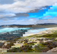 Kangaroo Island Luxury Small Group 'East End Explorer' Full Day Tour - Restaurant Darwin