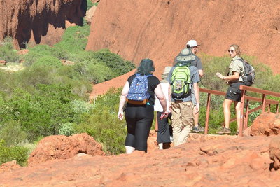 Afternoon Kata Tjuta Small Group Tour
