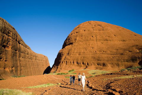 Afternoon Kata Tjuta Small Group Tour - Restaurant Darwin 1