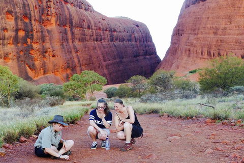 Afternoon Kata Tjuta Small Group Tour - Restaurant Darwin 2