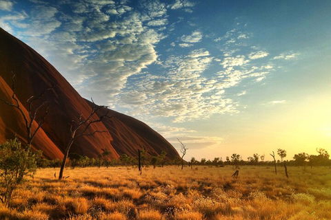 Highlights Of Uluru Including Sunrise And Breakfast - Restaurant Darwin 0