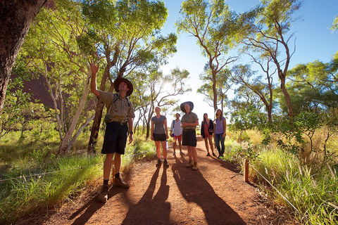 Uluru Small Group Tour Including Sunset - Restaurant Darwin 0