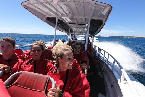 Adventure Rottnest Tour With Ferry & Adventure Cruise From Perth Or Fremantle - Restaurant Darwin 0