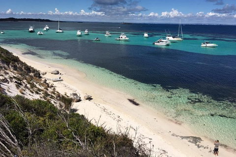 Experience Rottnest With Ferry & Bike Hire From Perth Or Fremantle - Restaurant Darwin 0
