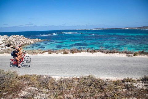 Experience Rottnest With Ferry & Bike Hire From Perth Or Fremantle - Restaurant Darwin 2