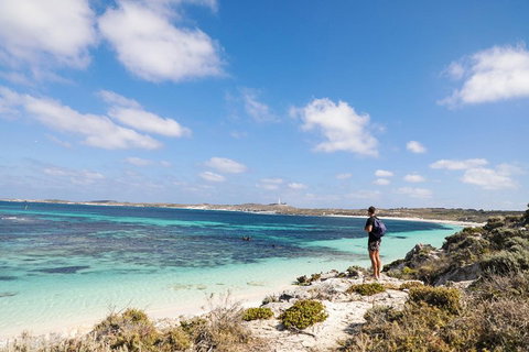 Experience Rottnest With Ferry & Bike Hire From Perth Or Fremantle - Restaurant Darwin 3