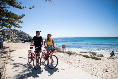 Experience Rottnest With Ferry & Bike Hire From Perth Or Fremantle - Restaurant Darwin 4