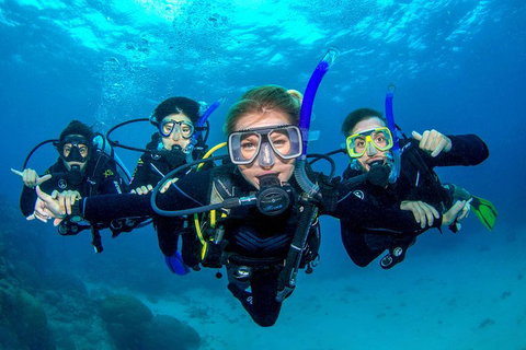 Great Barrier Reef Diving And Snorkeling Cruise From Cairns - Restaurant Darwin 0