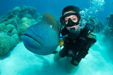 Great Barrier Reef Diving And Snorkeling Cruise From Cairns - Restaurant Darwin 2