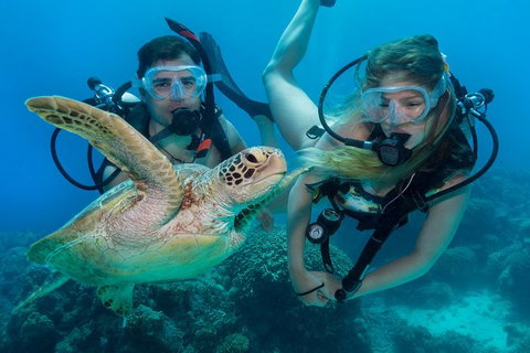 Great Barrier Reef Diving And Snorkeling Cruise From Cairns - Restaurant Darwin 4