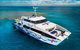 Great Barrier Reef Diving And Snorkeling Cruise From Cairns - thumb 5