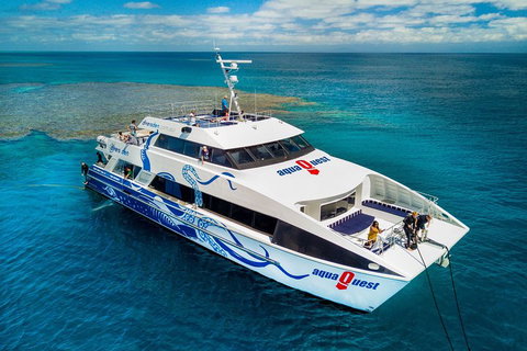 Great Barrier Reef Diving And Snorkeling Cruise From Cairns - Restaurant Darwin 5