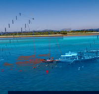 Ocean Free Green Island  Great Barrier Reef Snorkel Cruise Cairns 25 guests - Restaurant Darwin