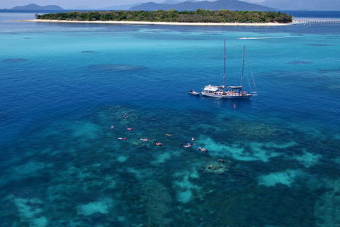 Ocean Free Green Island & Great Barrier Reef Snorkel Cruise, Cairns 25 Guests - Restaurant Darwin 2