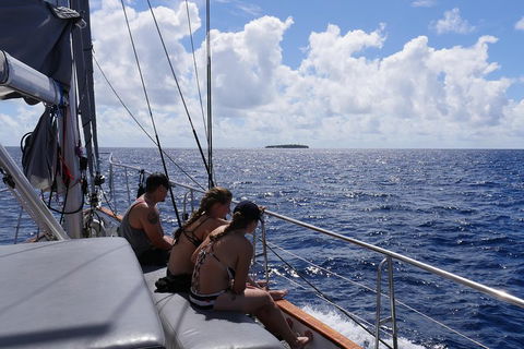 Ocean Free Green Island & Great Barrier Reef Snorkel Cruise, Cairns 25 Guests - Restaurant Darwin 4