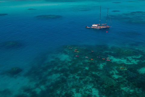 Ocean Free Green Island & Great Barrier Reef Snorkel Cruise, Cairns 25 Guests - Restaurant Darwin 5