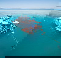 Ocean Freedom Great Barrier Reef Personal Luxury Snorkel  Dive Cruise Cairns - Restaurant Darwin