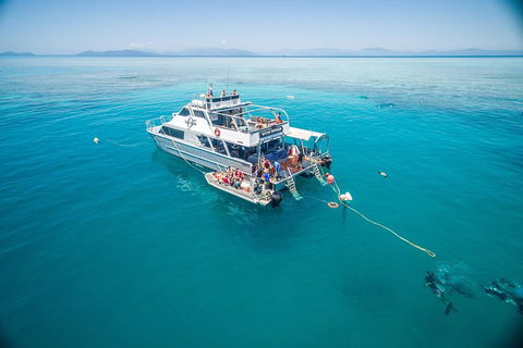 Ocean Freedom Great Barrier Reef Personal Luxury Snorkel & Dive Cruise, Cairns - Restaurant Darwin 0