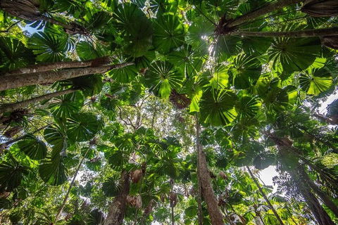 5 Day Australia Retreat: Queensland Daintree - Restaurant Darwin 2