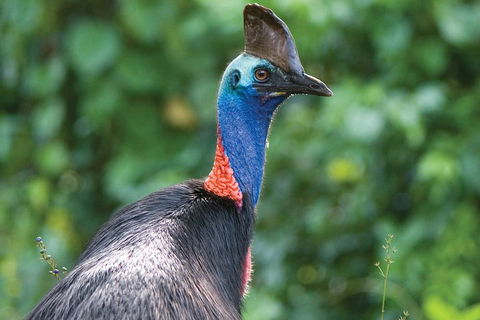 5 Day Australia Retreat: Queensland Daintree - Restaurant Darwin 3