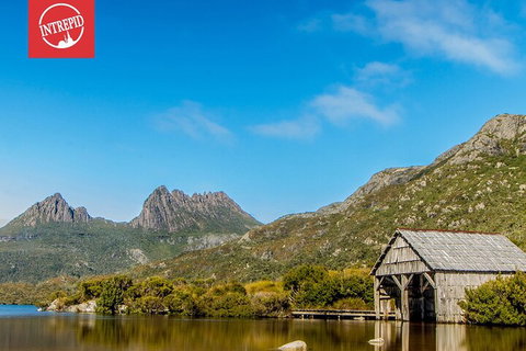 6 Day Trek The Cradle Mountain Overland Track - Restaurant Darwin 1