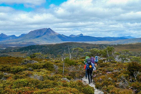 6 Day Trek The Cradle Mountain Overland Track - Restaurant Darwin 5