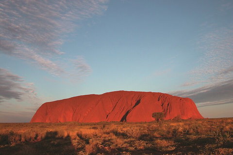 6 Day Red Centre Explorer With Accommodation - Restaurant Darwin 4