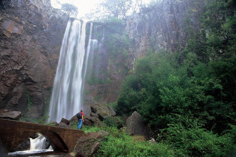 Brisbane Day In The Country Full-Day Small-Group Tour With Lunch - Restaurant Darwin 3