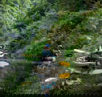 Byron Bay Rainforest Fishing - Restaurant Darwin