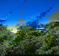 Classic Kuranda by Skyrail and Scenic Railway Including Rainforestation Koala and Wildlife Park and Pamagirri Aboriginal Experi - Restaurant Darwin