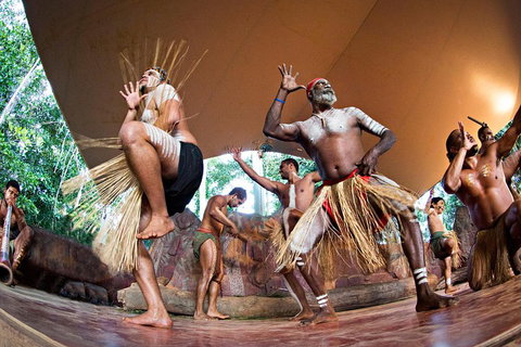 Best Of Kuranda Including Skyrail, Kuranda Scenic Railway And Rainforestation - Restaurant Darwin 1