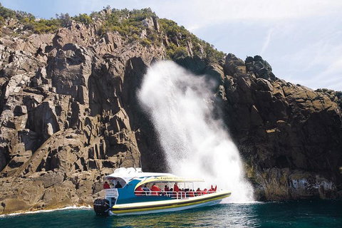 Full-Day Bruny Island Cruises Day Tour From Hobart - Restaurant Darwin 4