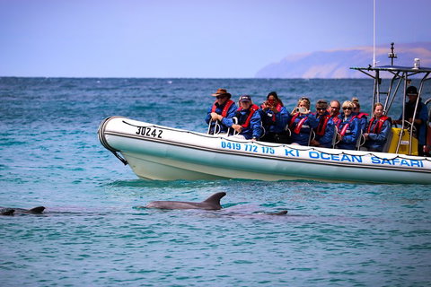 Kangaroo Island 75-Minute Ocean Safari - Restaurant Darwin 4