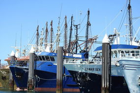 Book Port Augusta Accommodation Vacations Restaurant Darwin Restaurant Darwin