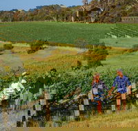 10 Day Perth to Adelaide Private Tour - The Great Australian Wilderness Journey - Restaurant Darwin