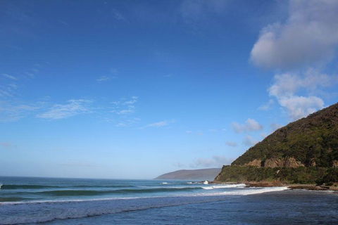 Private Great Ocean Road Day Tour With Early Departure & Early Return (11 Hours) - Restaurant Darwin 3