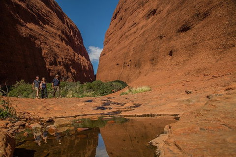 4 Day/3 Night Perentie Dreaming Safari - Restaurant Darwin 3