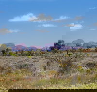Overnight Uluru Ayers Rock Small-Group Camping Tour - Restaurant Darwin