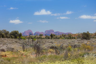 Overnight Uluru Ayers Rock Small-Group Camping Tour