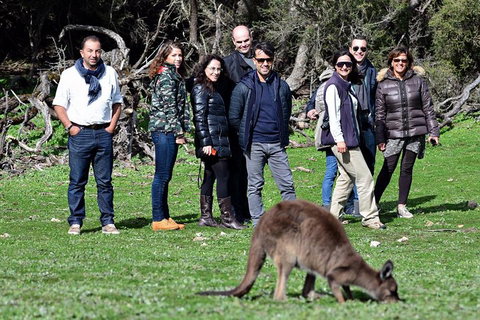 2-Day Kangaroo Island 4WD Small-Group Tour From Adelaide - Restaurant Darwin 1