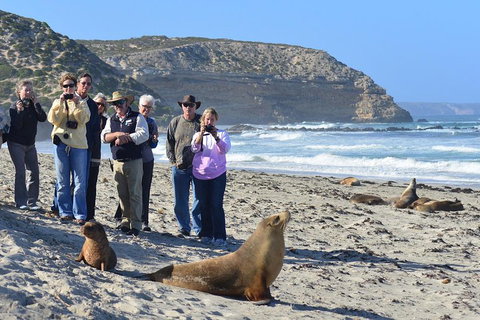 2-Day Kangaroo Island 4WD Small-Group Tour From Adelaide - Restaurant Darwin 3