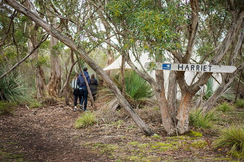 2-Day Kangaroo Island 4WD Small-Group Tour From Adelaide - Restaurant Darwin 5