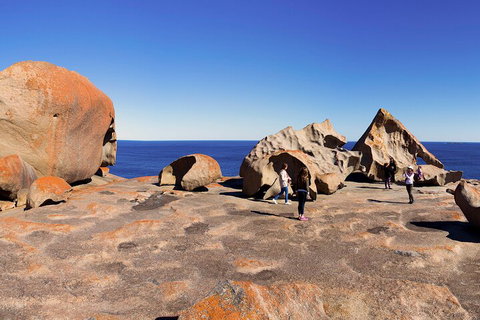 Full-Day Kangaroo Island Experience Departing From Kangaroo Island - Restaurant Darwin 4