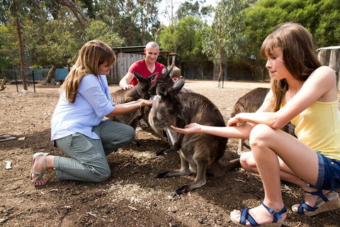 Full-Day Kangaroo Island Experience Departing From Kangaroo Island - Restaurant Darwin 5