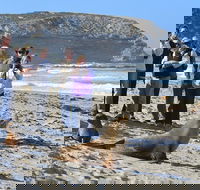 Full day Seal Bay Experience departing from Kangaroo Island - Restaurant Darwin