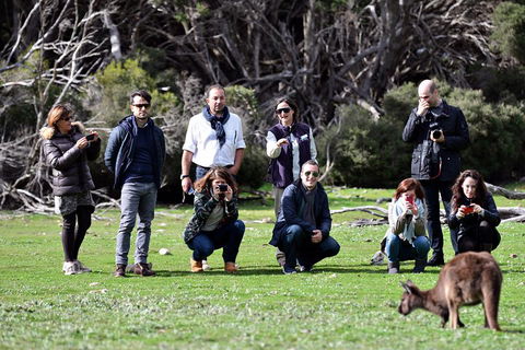 Small-Group Kangaroo Island 4WD Tour From Adelaide - Restaurant Darwin 2