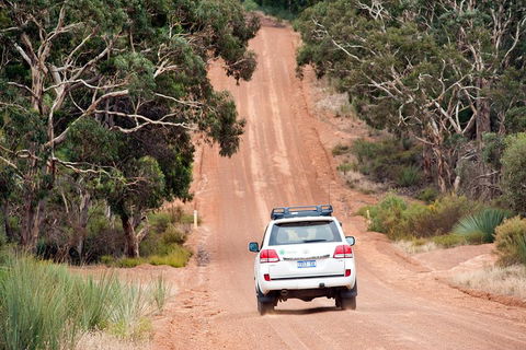 Small-Group Kangaroo Island 4WD Tour From Adelaide - Restaurant Darwin 3