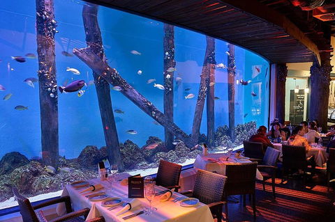 Cairns Aquarium And Small Group City Sightseeing Tour - Restaurant Darwin 4