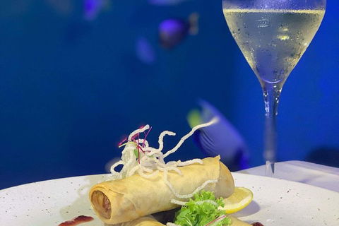 Cairns Aquarium And Small Group City Sightseeing Tour - Restaurant Darwin 5