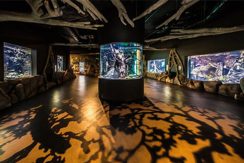 Cairns Aquarium Tour By Twilight With Drink And Appetiser - Restaurant Darwin 1